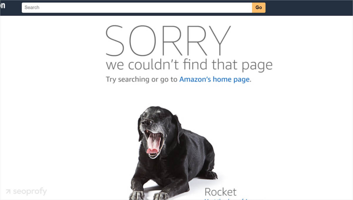 404 page amazon