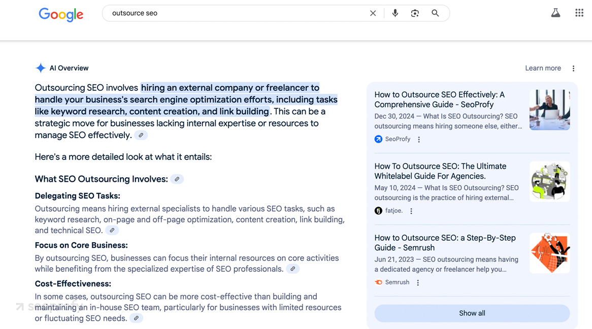 What are Google AI Overviews