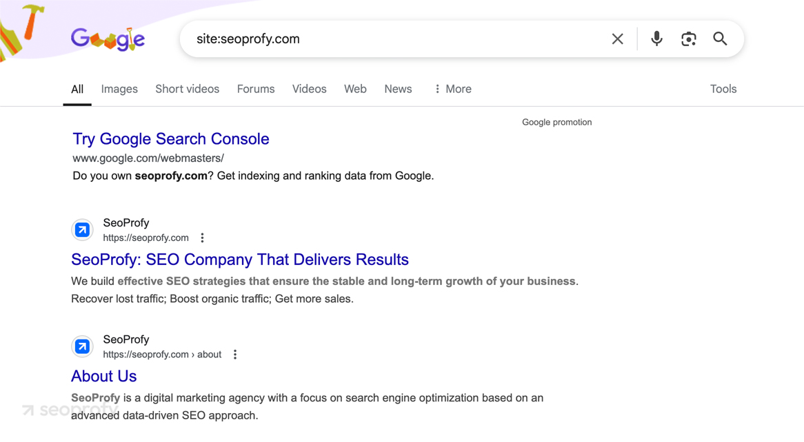 Quick Way to See What Google has Indexed