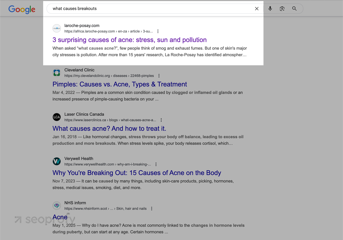 Use Blog Articles to Target Informational Queries