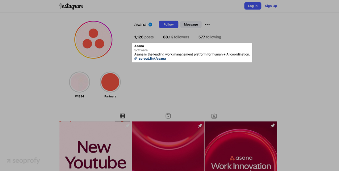 Asana Instagram Bio