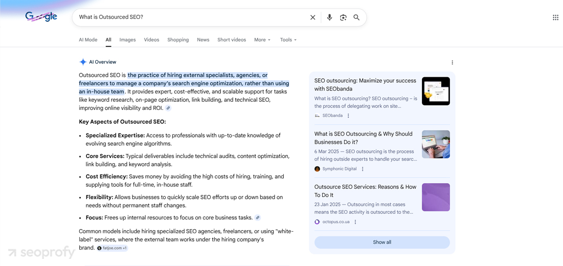 What Are Google AI Overviews