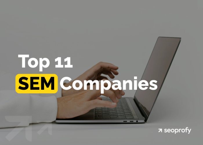 Top Search Engine Marketing Companies