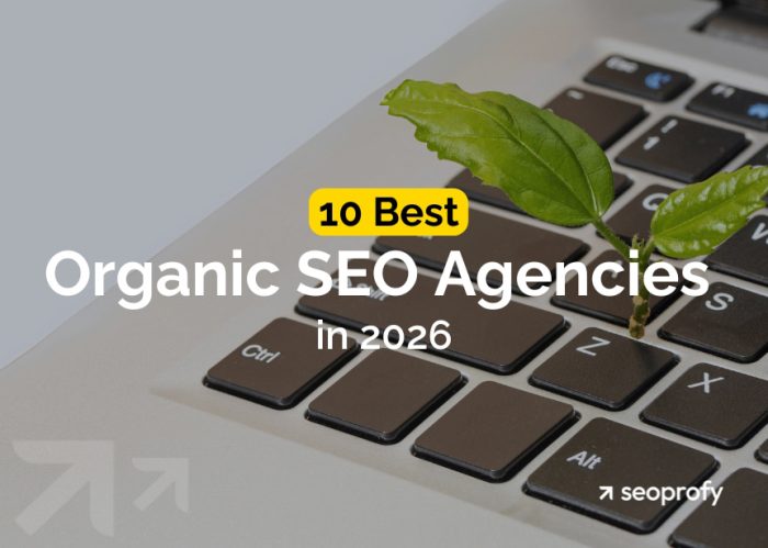 Best Organic SEO Agencies
