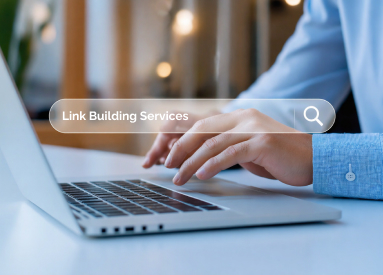Link Building Services