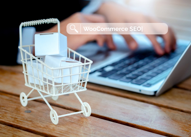 WooCommerce SEO Services