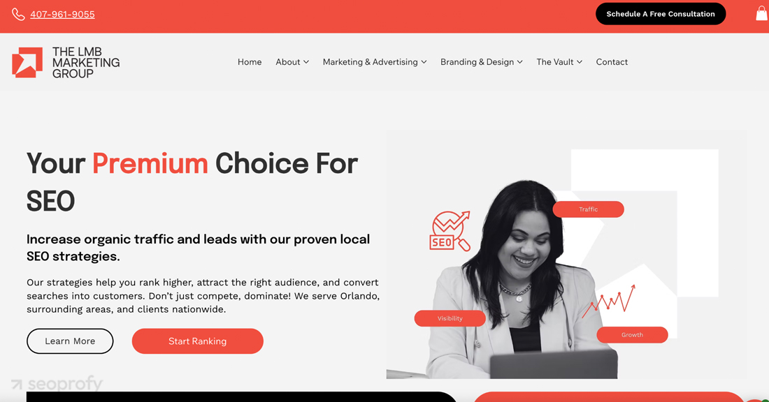 The LMB Marketing Group